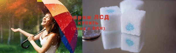мяу мяу мука Шали